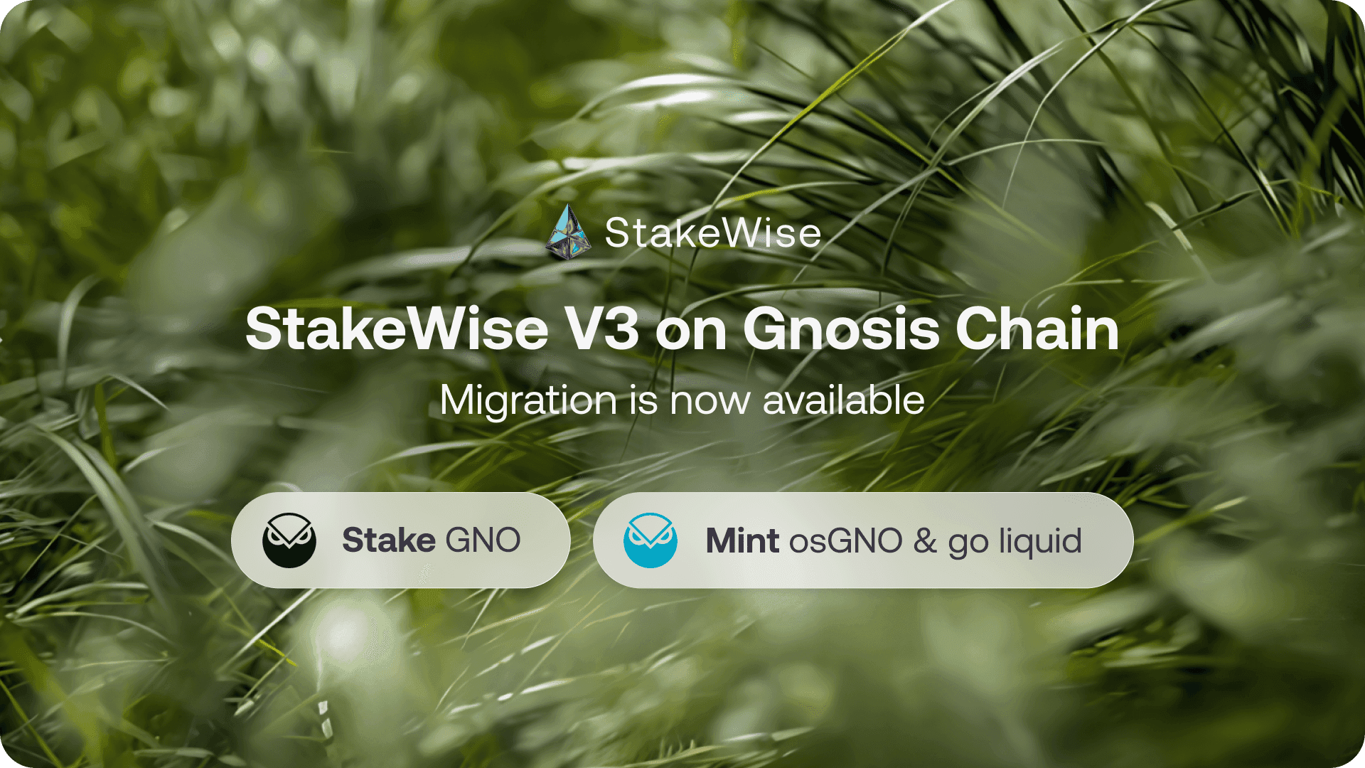 StakeWise V3 On Gnosis Chain: What To Expect & How To Migrate